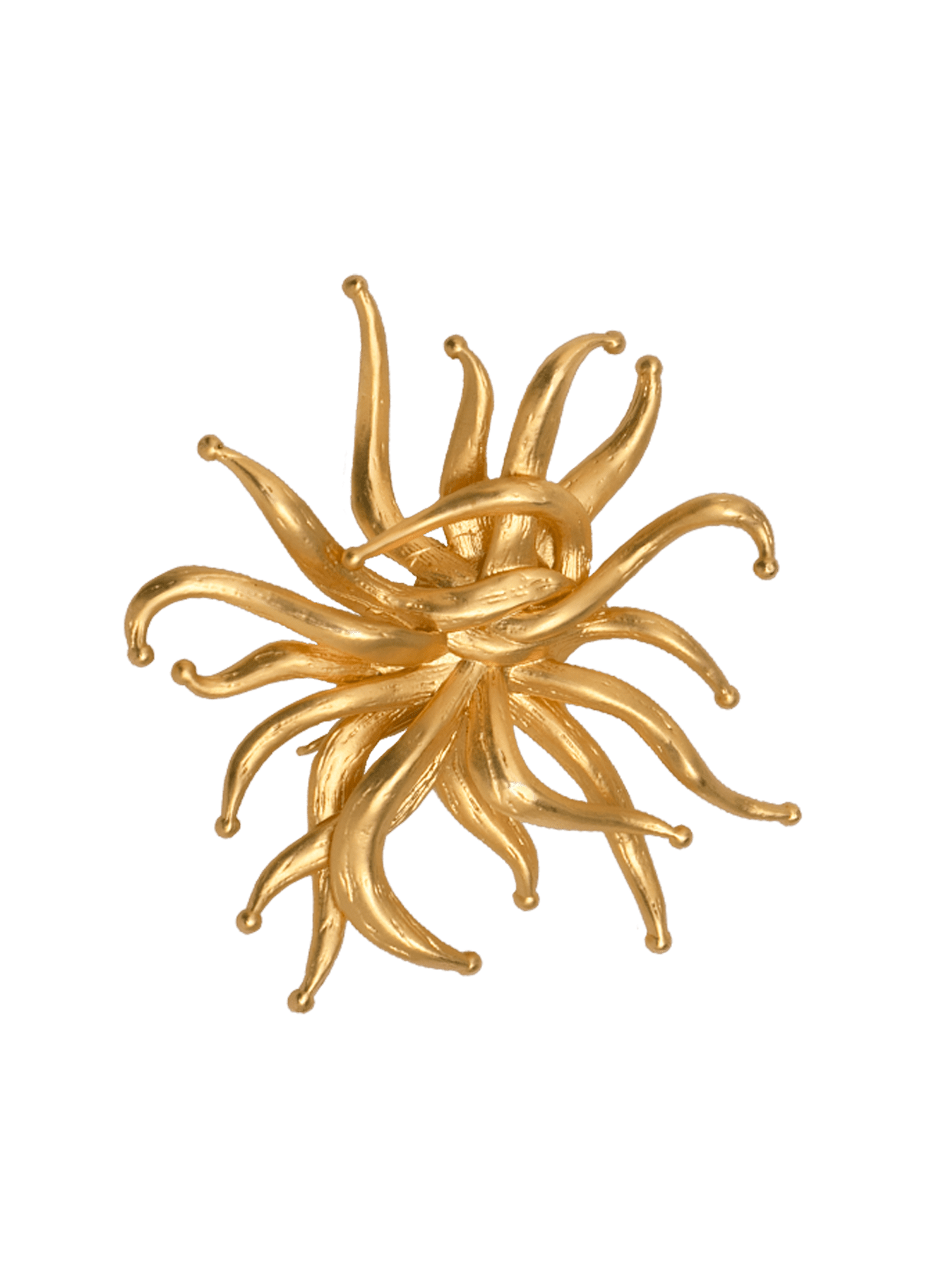 Anemone Brooch-Charm
