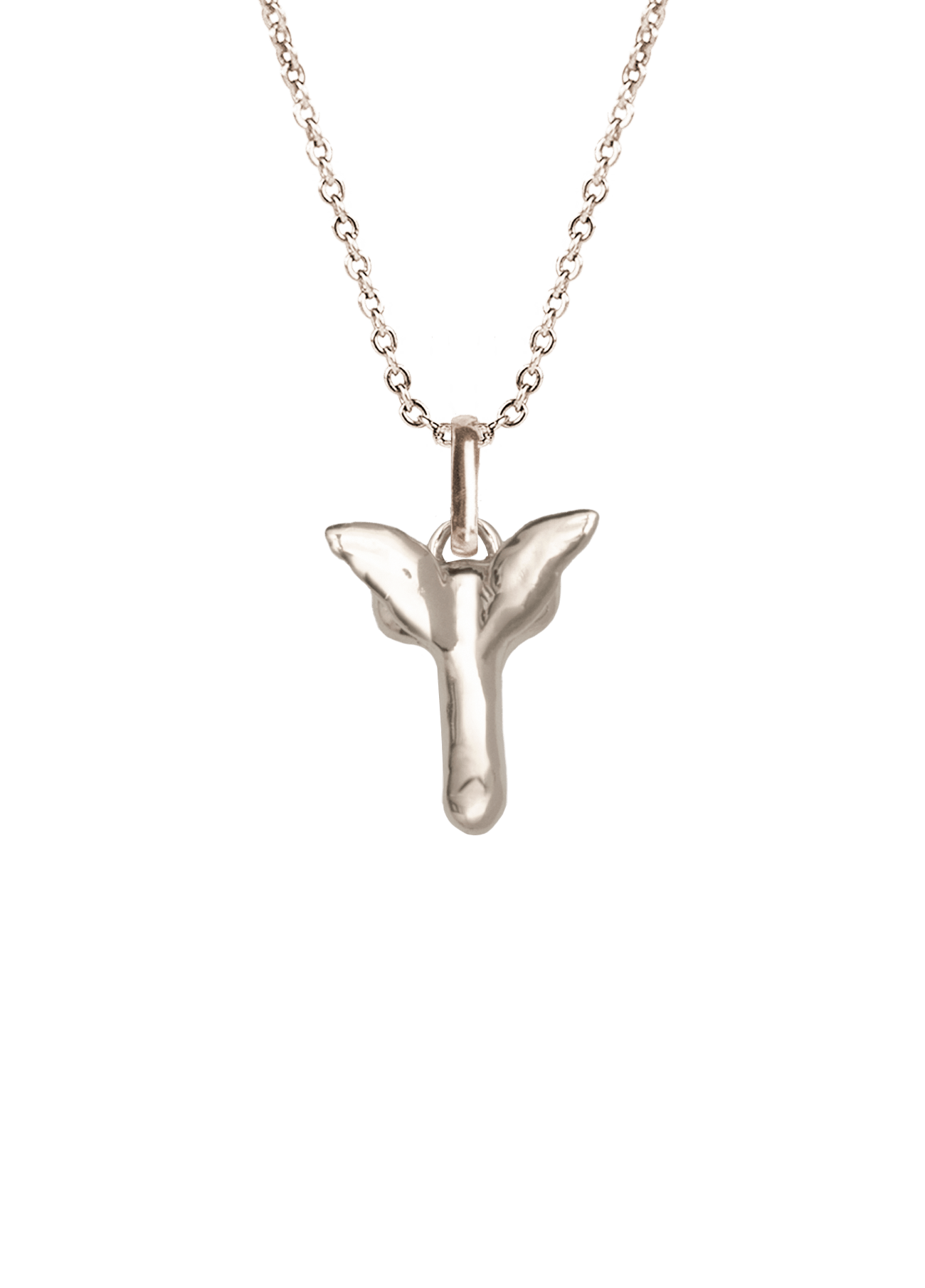 Fascinus Silver Necklace