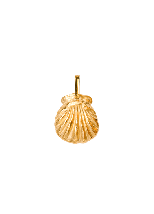 Mare Charm