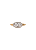 Glaciar Ring