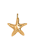 Asterina Charm