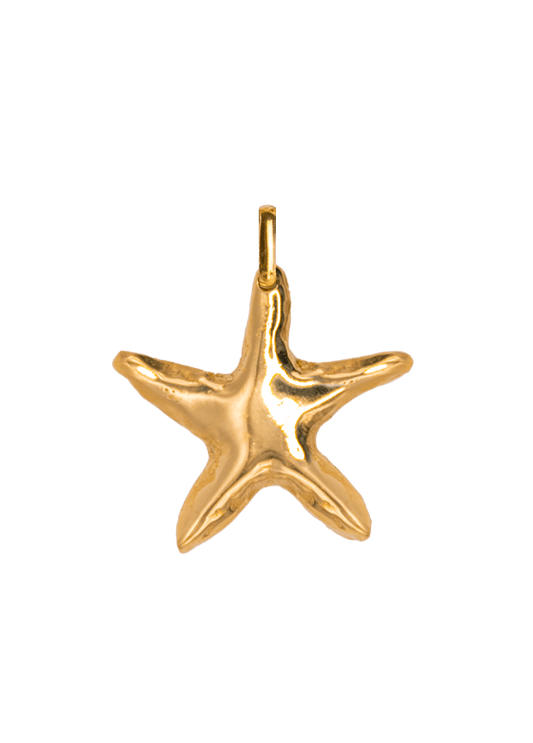 Solid Gold Asterina Charm