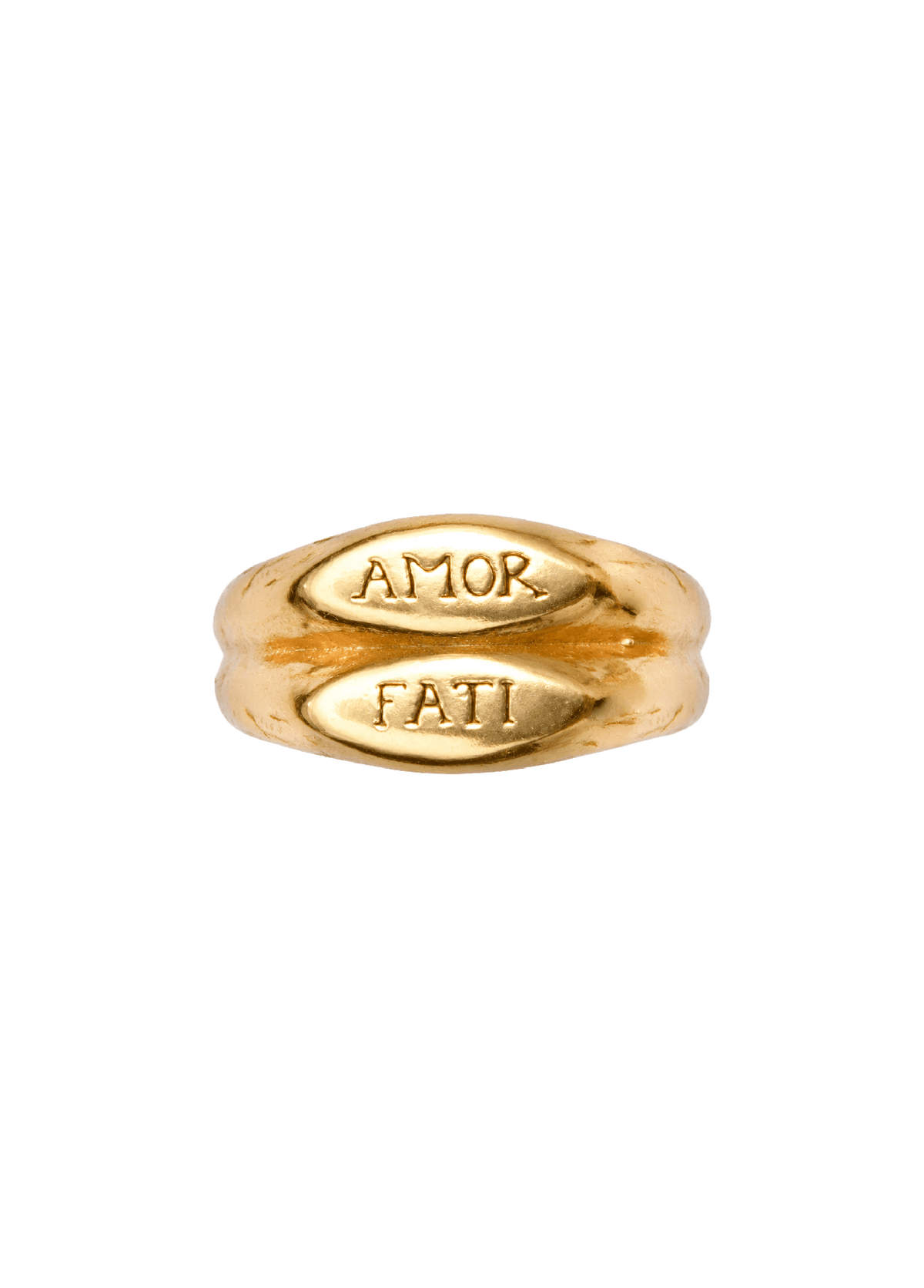 Anillo Amor Fati