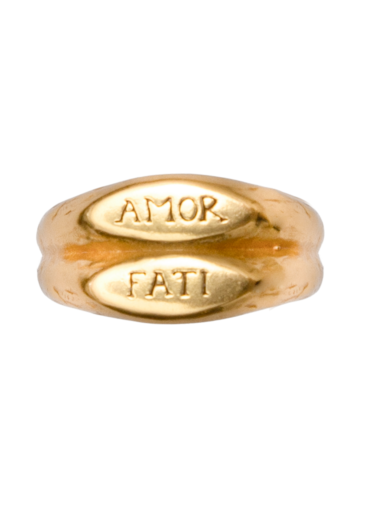 Anillo Amor Fati