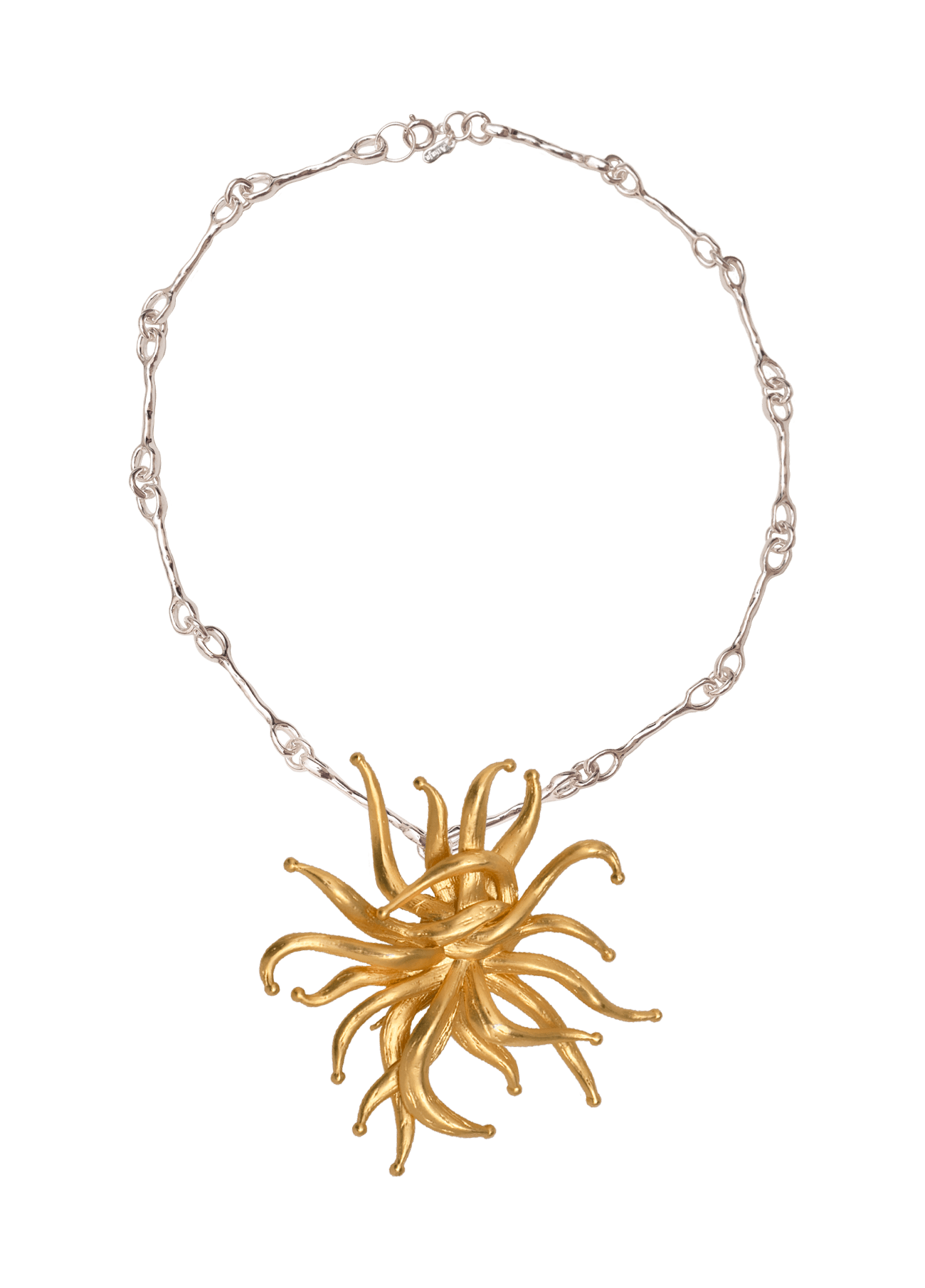 Collar Nautilus Anemona