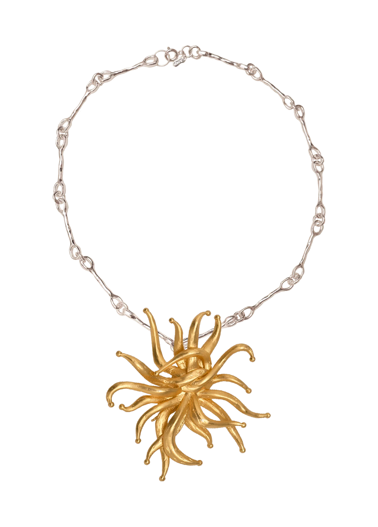 Collar Nautilus Anemona