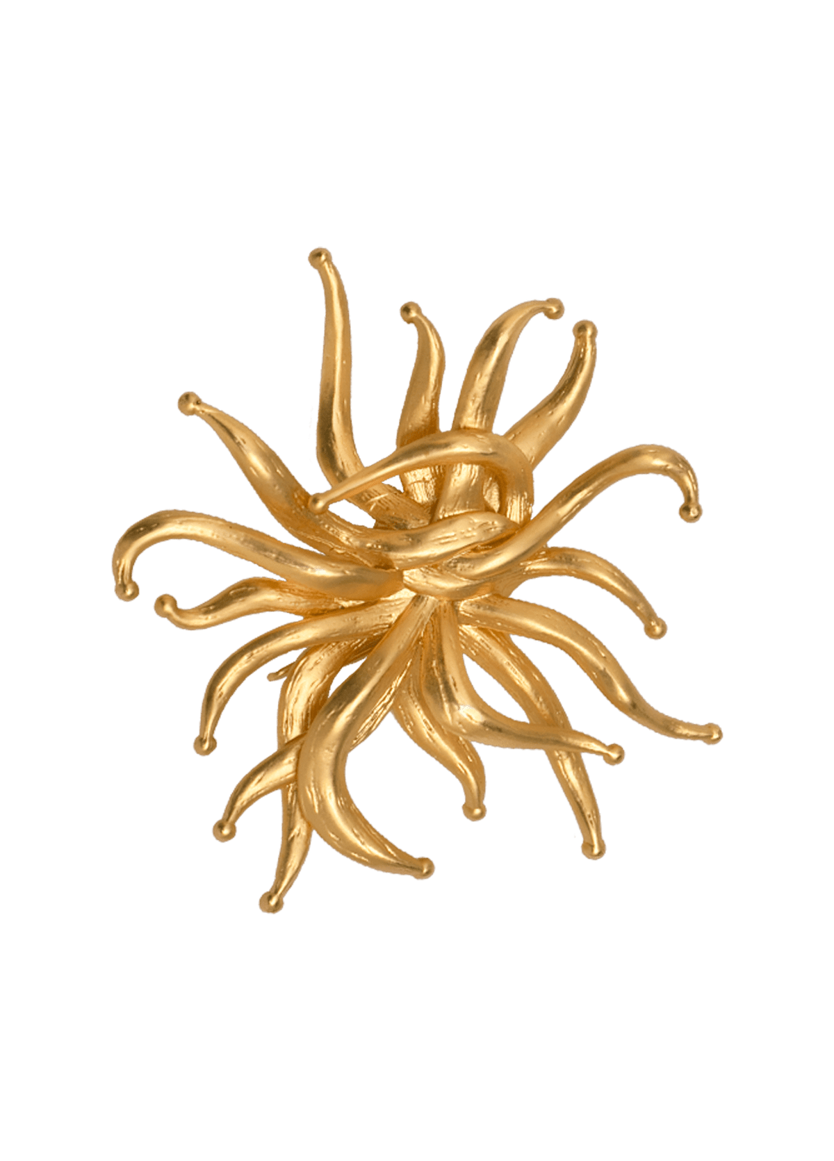 Anemone Brooch-Charm
