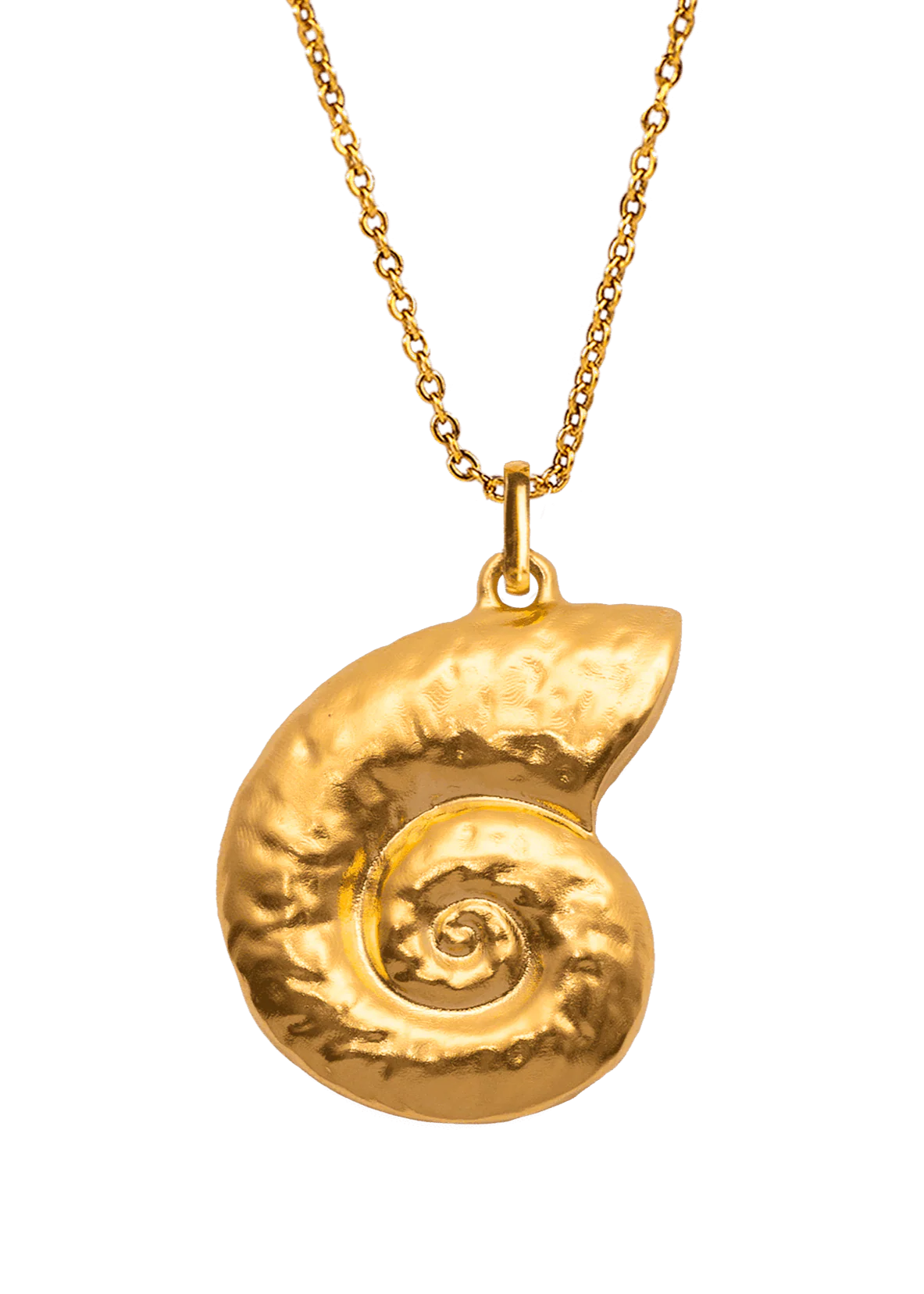 Gold Conch Necklace