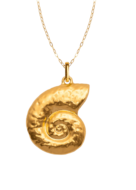 Collar Caracola con Cadena Mare Oro