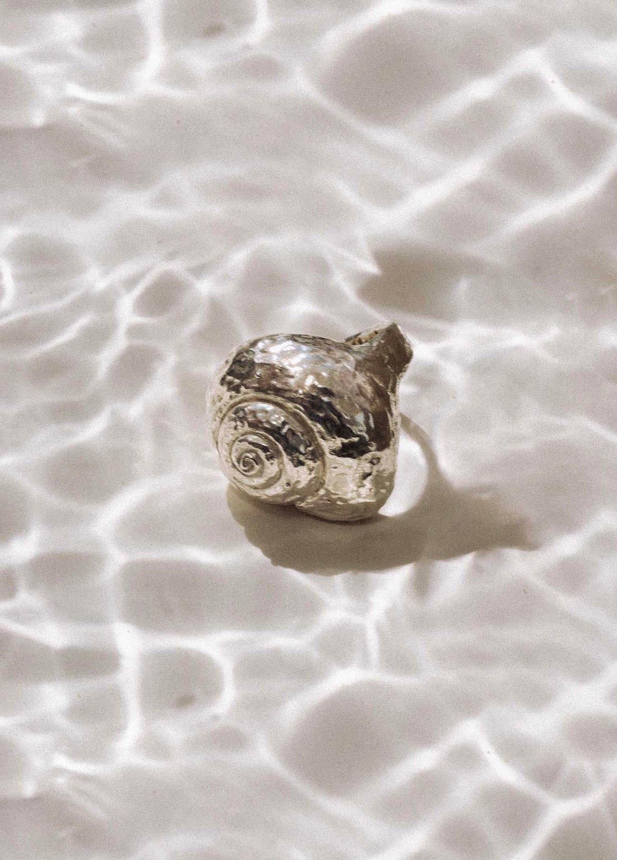 Caracola Silver Ring