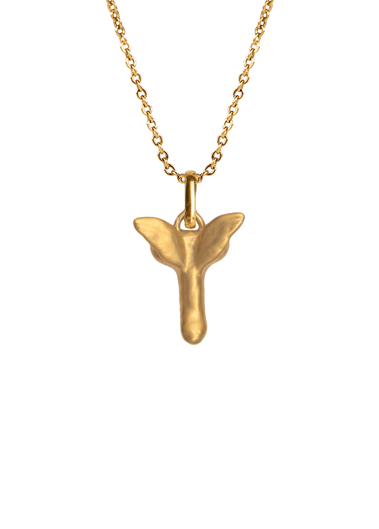 Collar Fascinus Oro
