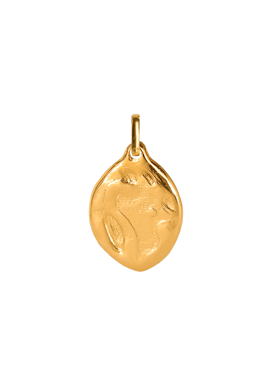 Solid Gold Limone Charm