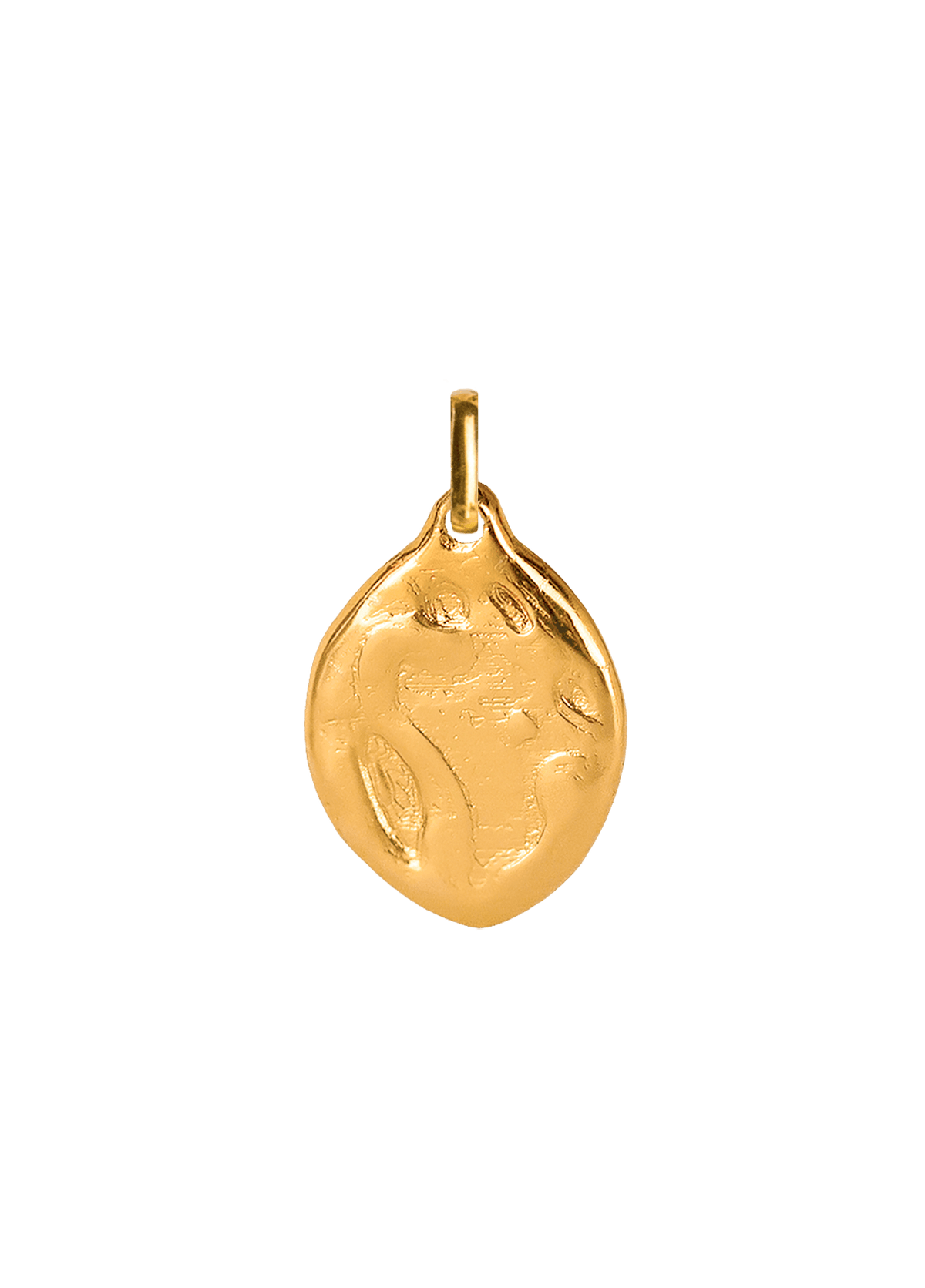 Limone Charm Solid Gold