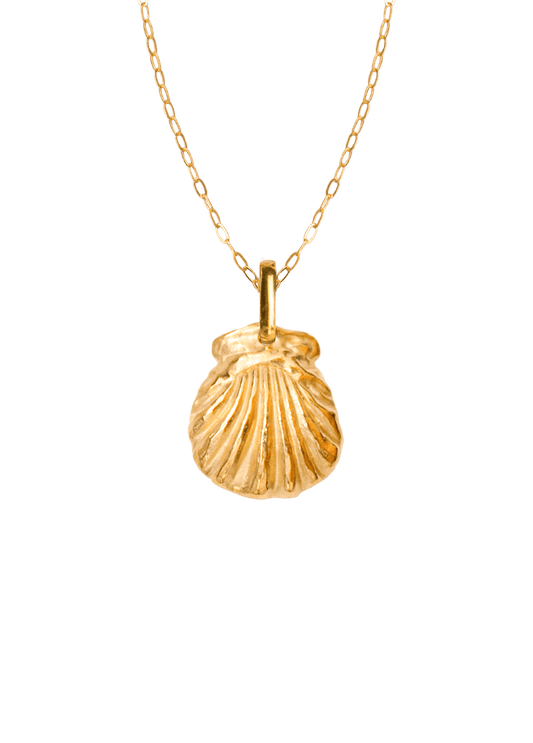 Collar Mare con Cadena Mare Oro