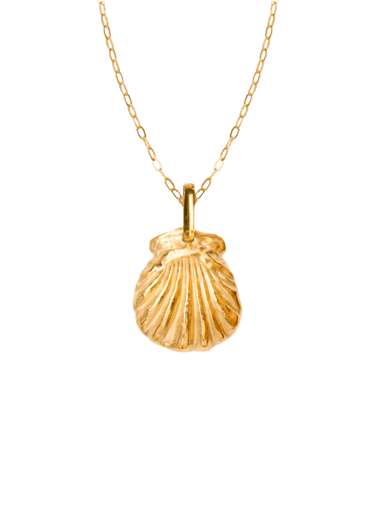 Collar Mare con Cadena Mare Oro
