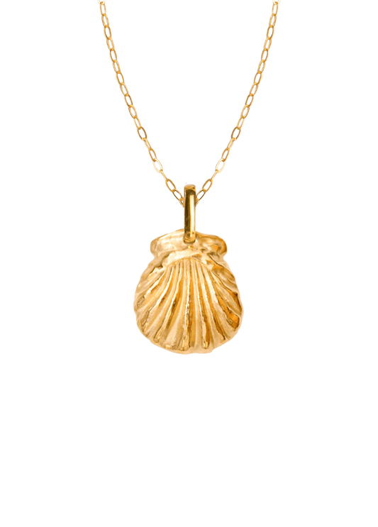 Collar Mare con Cadena Mare Oro