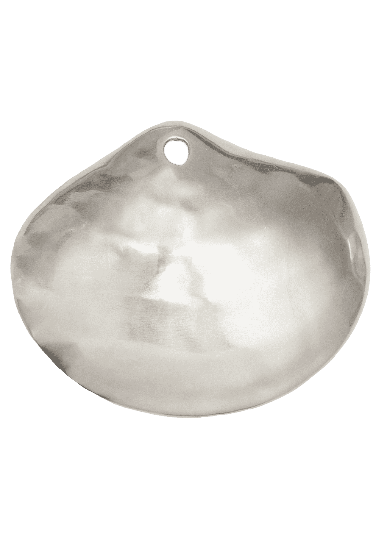 Salitre Silver Pendant