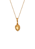Collar Limoncello Oro Macizo